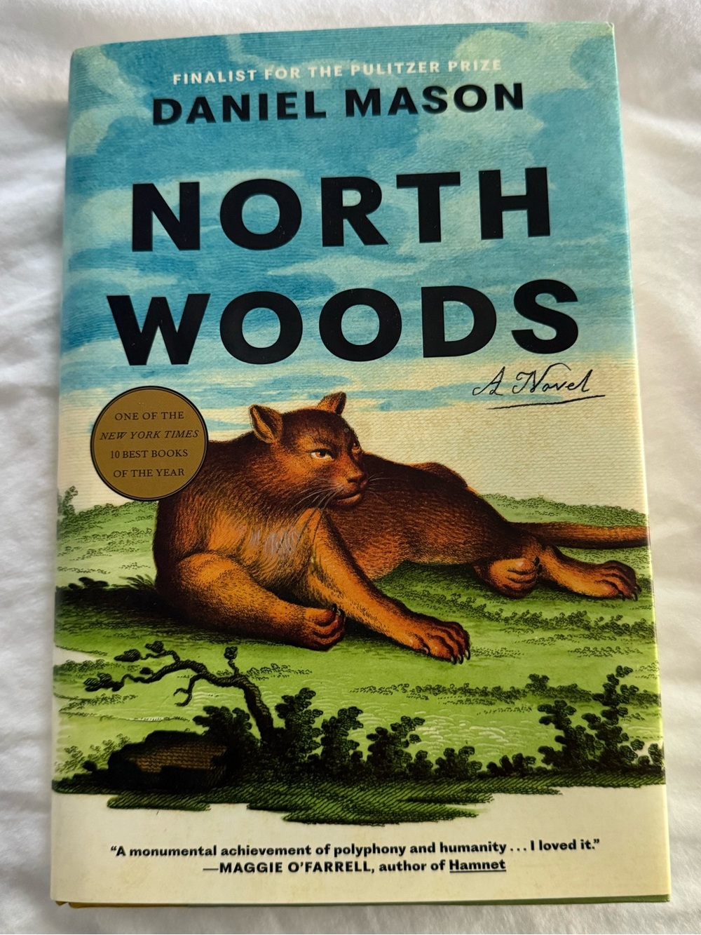 North Woods by Daniel Mason